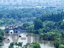 dxdztop大象传媒视频-探索Dxdztop大象传媒视频，数字时代的文化新视角