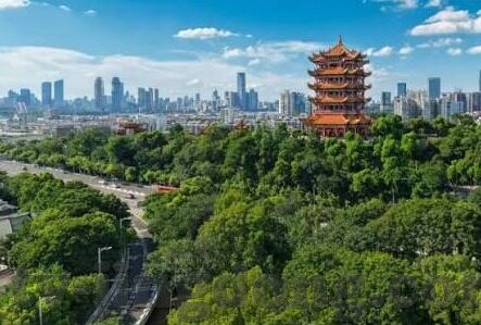 国产精品女同一区二区-国产精品女同一区二区，文化自信与艺术创新的交汇点