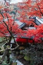 国产精品一区二区三区在线观看-国产精品影视的多元探索与欣赏