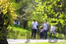 伦理电影漂亮的女老板-伦理电影中的美丽镜像，女老板的多重维度