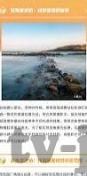 麻豆91国产视频-麻豆91，国产视频的缩影与思考