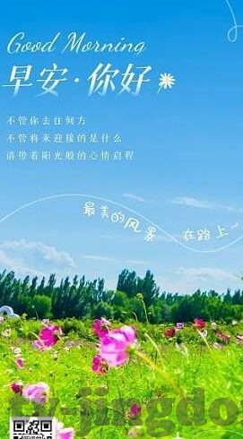 麻豆91精品视频-役情下的疗愈之境，麻豆91精品视频的多元艺术体验