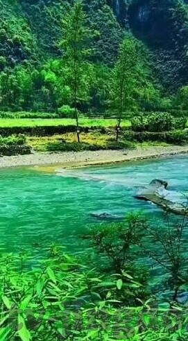 麻豆av导航-麻豆AV导航现象及其社会评价的多视角探讨