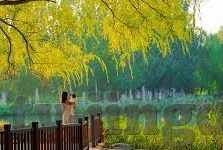 麻豆传媒在哪里可以看-一个虚构故事的旅程，探秘影视天堂之旅