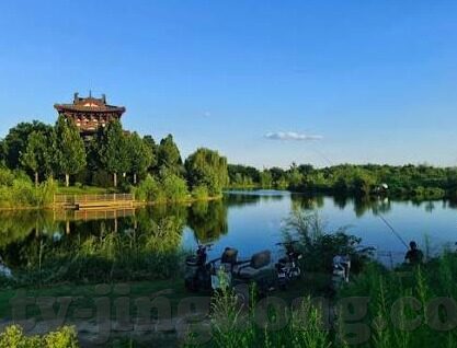 麻豆视频黄色-网络世界的斑斓与暗流，透视麻豆视频的灰色地带