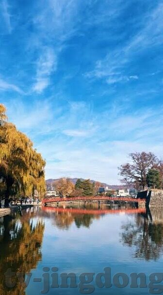 日一区二区三区-城市活力新篇章，日一区、二区、三区的和谐共生