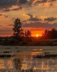 糖心vlog安卓版下载-探索生活的甜蜜角落，糖心Vlog安卓版下载新体验