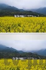中文字幕五月天-音乐之旅，五月天与中文字幕的共鸣